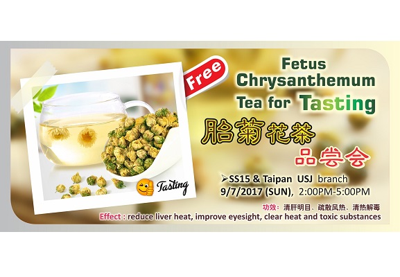 Fetus Chrysanthemum Tea for Tasting 胎菊花茶 品尝会